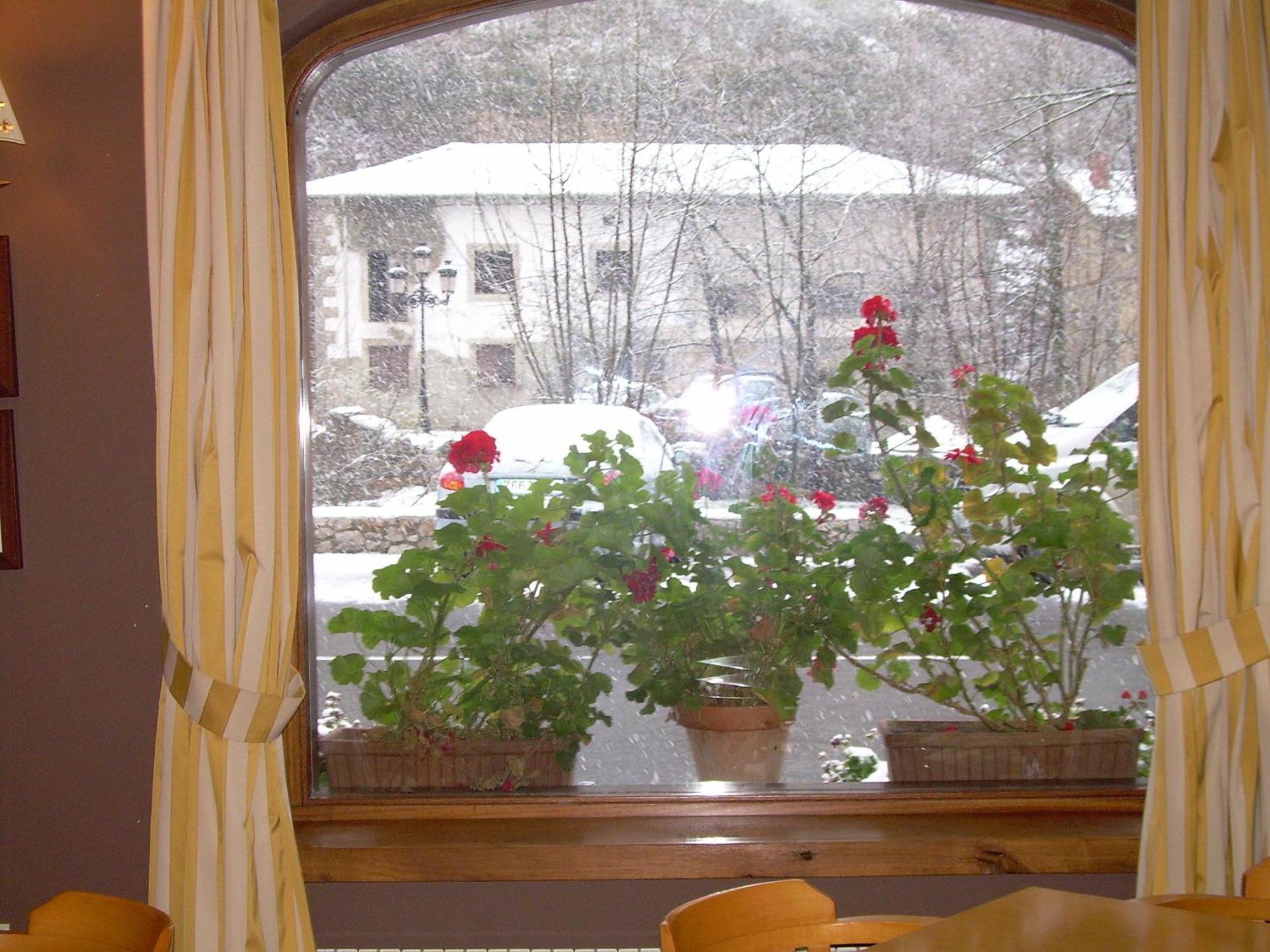 Hotel Cosgaya Dış mekan fotoğraf
